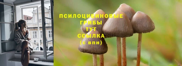 мескалин Баксан