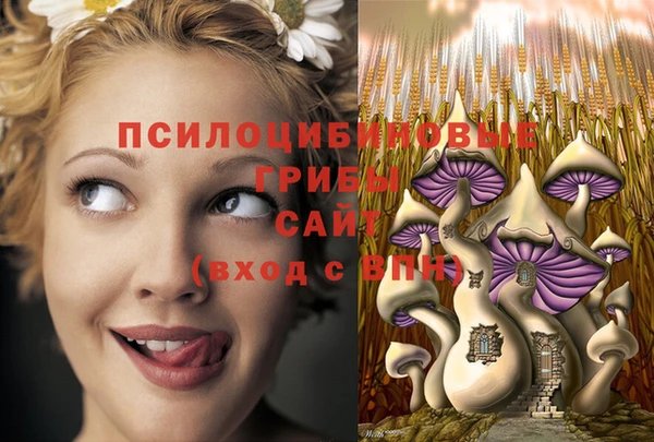 молекула духа Балахна