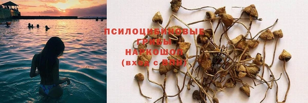 мескалин Баксан