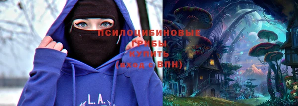 молекула духа Балахна