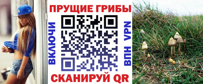 Псилоцибиновые грибы мицелий  MEGA ССЫЛКА  Дигора 